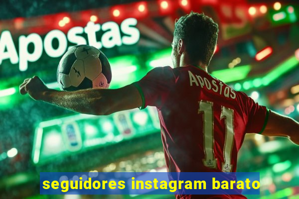 seguidores instagram barato